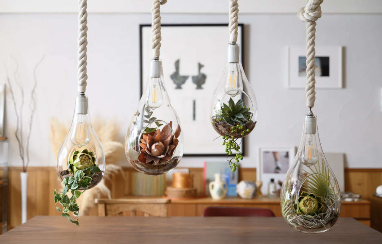 BOTANIC HANGING LIGHT with FAKEGREEN