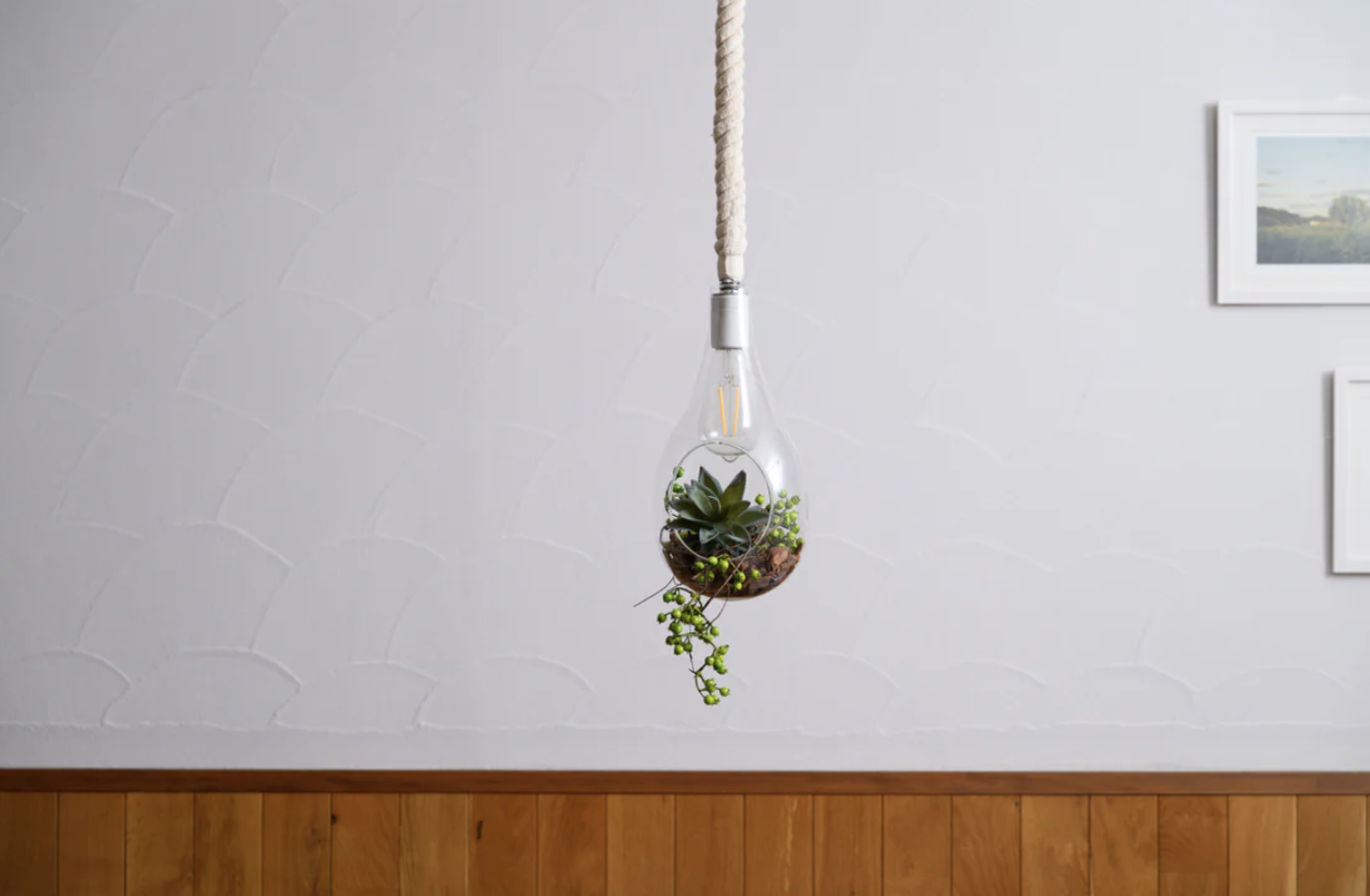 BOTANIC HANGING LIGHT with FAKEGREEN